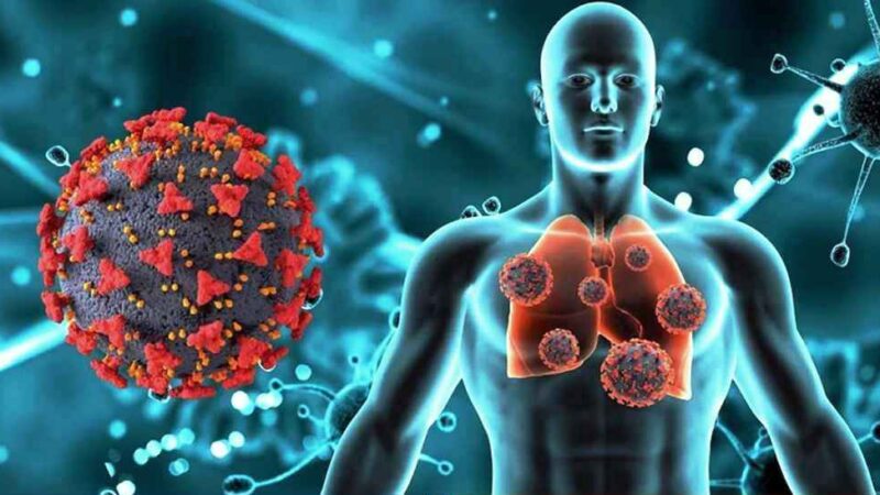 পরবর্তী বৈশ্বিক মহামারি