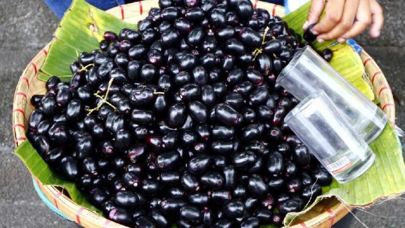 ডায়বেটিস ও ক্যান্সার প্রতিরোধে জামের ভূমিকা