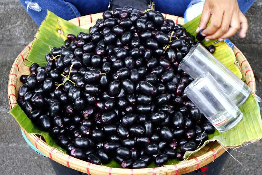 ডায়বেটিস ও ক্যান্সার প্রতিরোধে জামের ভূমিকা