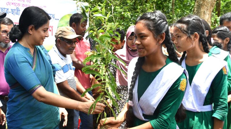 শালবন বাঁচাতে পরিবেশ উপদেষ্টার একগুচ্ছ ঘোষণা