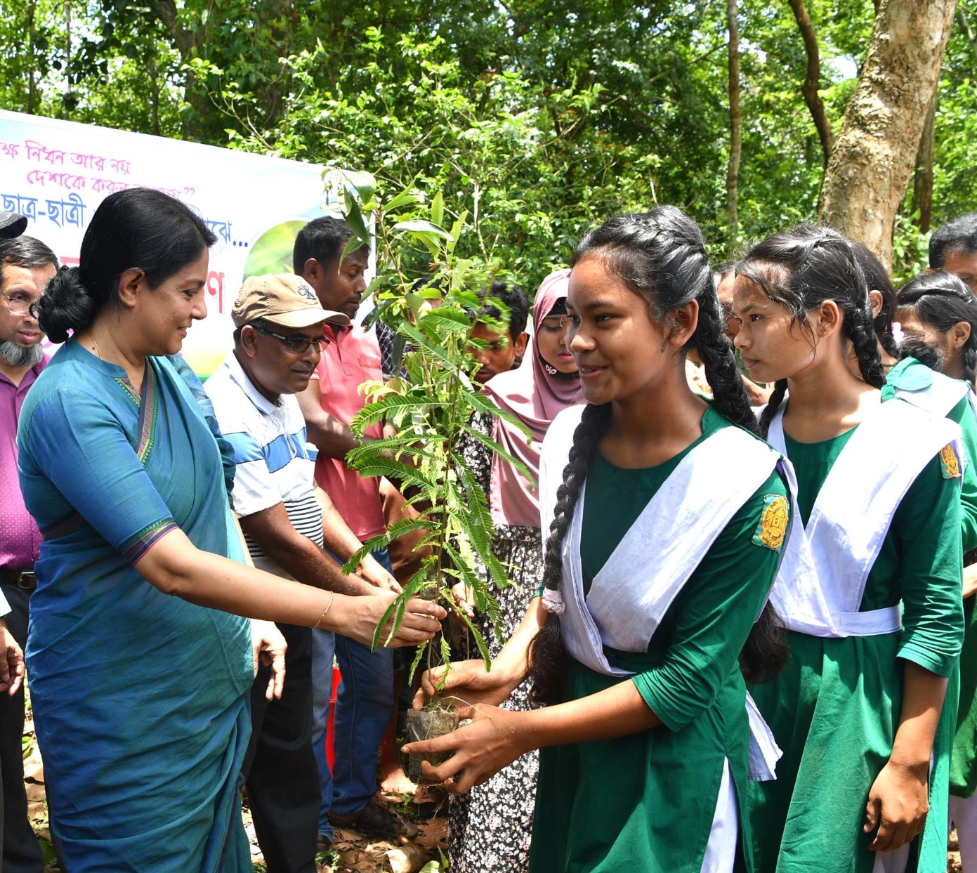শালবন বাঁচাতে পরিবেশ উপদেষ্টার একগুচ্ছ ঘোষণা