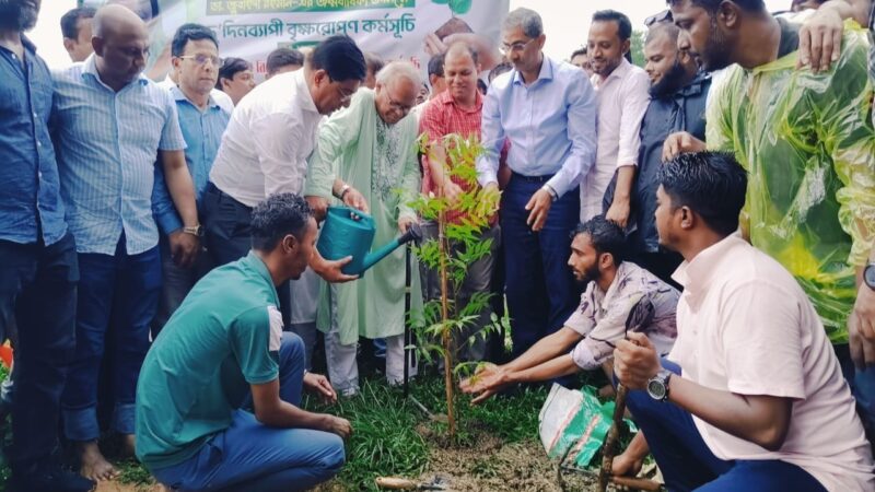 ডা. জুবাইদা রহমান-এর জন্মবার্ষিকী উপলক্ষে দুই দিন বৃক্ষরোপণ কর্মসূচির উদ্বোধন