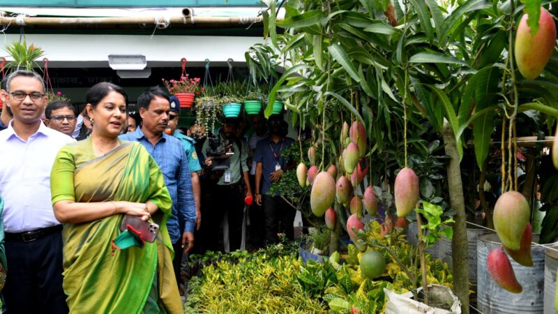 বৃক্ষমেলা শুরু: চলবে ২৪ জুলাই পর্যন্ত,  সকাল ৯ টা থেকে রাত ৯ টা