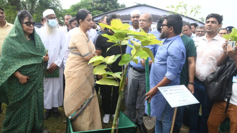 পূর্বাচলে বৃক্ষরোপণ কর্মসূচির উদ্বোধন করলেন পরিবেশ উপদেষ্টা