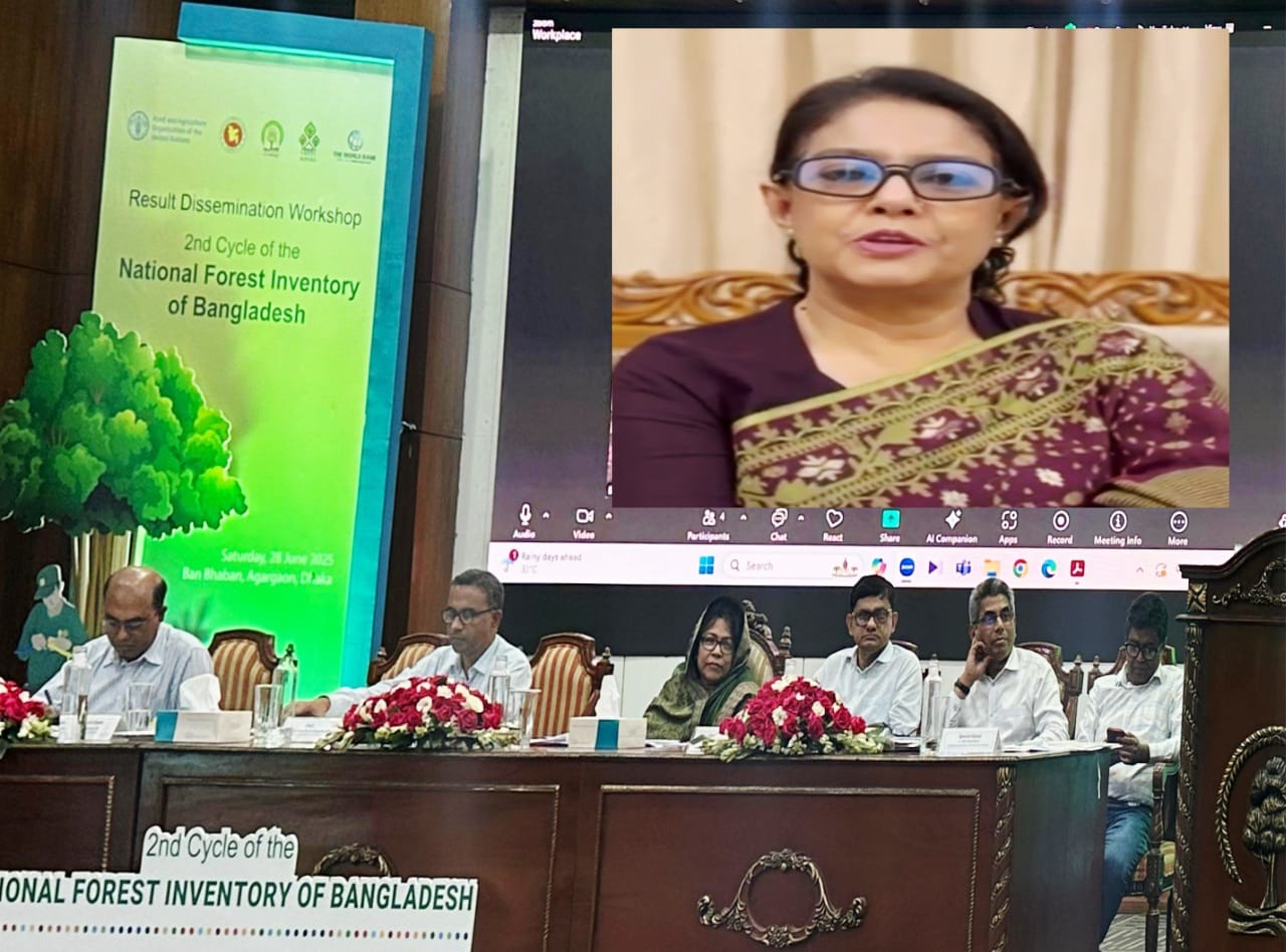 বন ও প্রাকৃতিক সম্পদের ব্যবস্থাপনায় সকলের অংশগ্রহণ জরুরি:  রিজওয়ানা হাসান