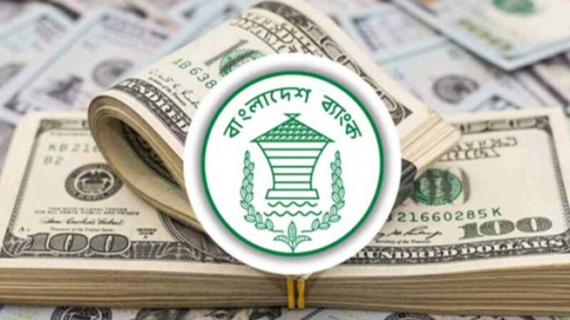 নভেম্বরের প্রথম ১৫ দিনে ১৮ হাজার কোটি টাকার রেমিট্যান্স