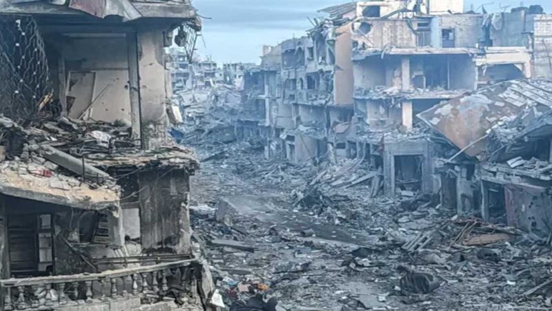 গাজায় আরও ৮০ ফিলিস্তিনি নিহত, অনাহারে মৃত্যু আরও ১৪ জনের