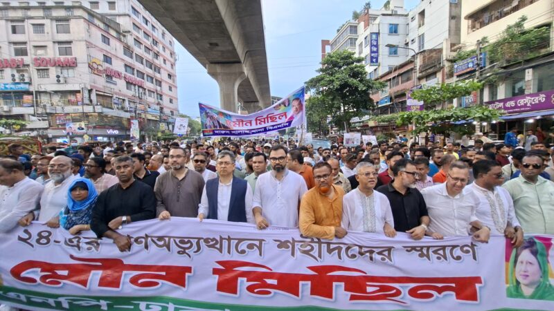 বিভ্রান্তিমূলক রাজনীতি করা একটি দল ঘোলা পানিতে মাছ শিকারের চেষ্টা করছে :  সালাহ উদ্দিন আহমেদ