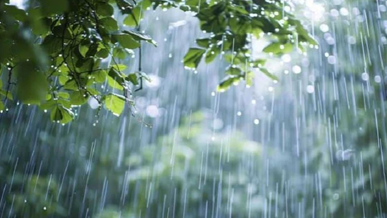 আগামী পাঁচ দিন টানা বৃষ্টির আভাস