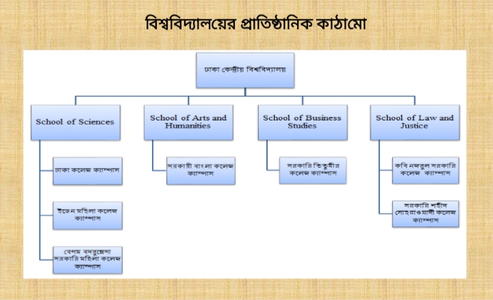 ঢাকা কেন্দ্রীয় বিশ্ববিদ্যালয়ে ৭ কলেজ যেভাবে
