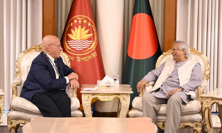 প্রধান উপদেষ্টার সঙ্গে জাতিসংঘের মিয়ানমার বিষয়ক বিশেষ দূতের সাক্ষাৎ